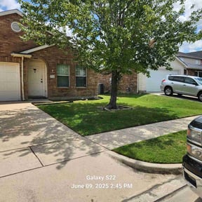 landscaping services by DONIT4U Landscaping reviewed on August 20, 2025
