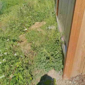 Flower Bed Weeding by MowMasters reviewed on May 24, 2026