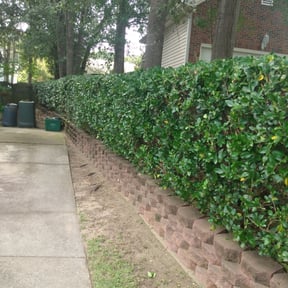Bush Trimming by Atlanta Junk Removal and Lawns reviewed on August 21, 2025