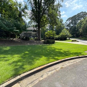 landscaping by Tim&#039;s Discount Lawn reviewed on August 1, 2023