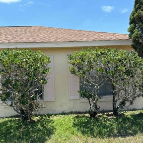 Bush Trimming by Outdoor Premier Property reviewed on August 15, 2025