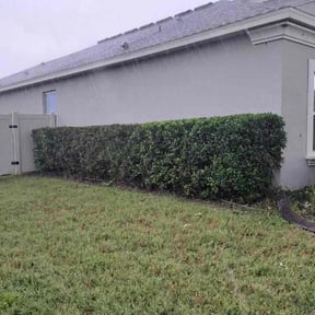 Bush Trimming by RayRay's Lawncare reviewed on August 16, 2025