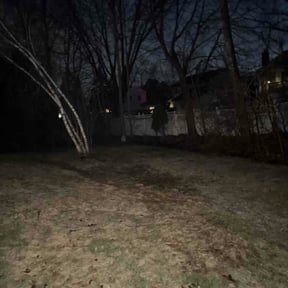 Leaf Removal by Greener Lawn Care LLC. reviewed on April 4, 2026