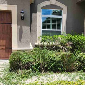 Bush Trimming by Integrity Lawn Care LLC reviewed on August 17, 2025