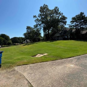 yard service by D Taylor's Property services reviewed on August 19, 2025