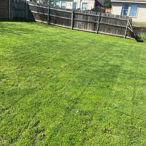 turf maintenance by Earl Lees Lawnscaping reviewed on April 27, 2024