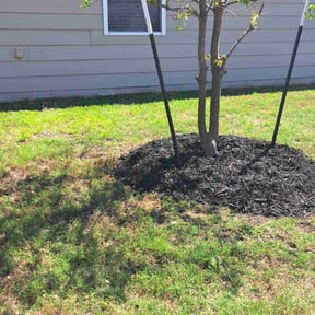 Mulching by Mareana Lawncare LLC reviewed on April 6, 2026