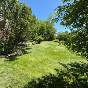 yard work by Jr Industries Landscaping reviewed on December 24, 2025