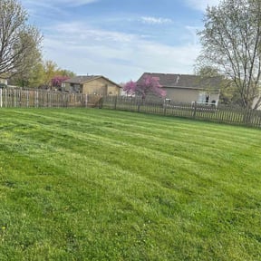 lawn maintenance by Mainline irrigation reviewed on May 3, 2024