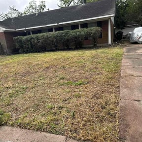 Bush Trimming by Get Bck Lawn Care & Plow reviewed on August 16, 2025