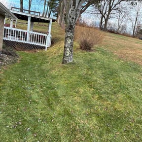 Leaf Removal by Lawn and Labor Services reviewed on December 4, 2025