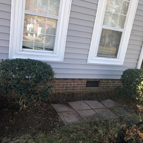 Bush Trimming by Jtdps lawn services reviewed on August 19, 2025