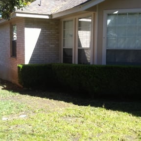 Bush Trimming by After Care Express SVC reviewed on August 18, 2025
