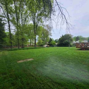 turf care by Green Guy Landscaping LLC reviewed on September 13, 2024