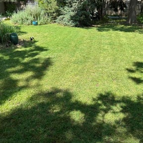 yard maintenance by Under the Mhoon Landscaping reviewed on November 24, 2025