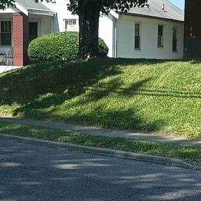 Bush Trimming by Mahan lawn care reviewed on August 15, 2025