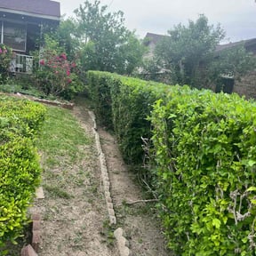 Bush Trimming by Corrupt Jcs Demo And Landscaping LLC reviewed on August 16, 2025