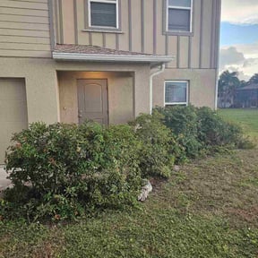 Bush Trimming by Winchester&#039;s Advanced Lawn Maintenance and Landscaping LLC reviewed on March 5, 2023