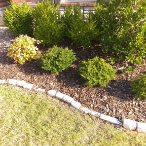 Flower Bed Weeding by Mike's Lawncare LLC reviewed on August 21, 2025
