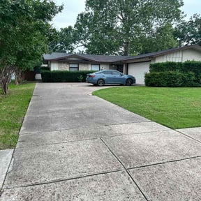 yard service by Salvador Lawn and Tree Service reviewed on February 12, 2026