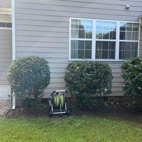 Bush Trimming by Chek&#039;Rd Lawn Service reviewed on October 23, 2025