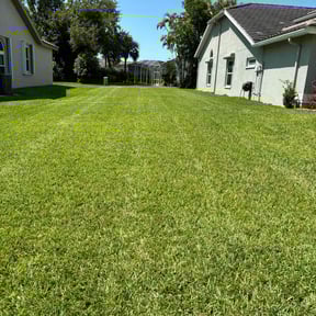 lawn service by M&M's Lawn Services reviewed on March 30, 2024