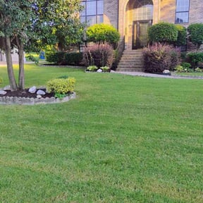 yard work by Twin Nem LLC reviewed on August 15, 2025
