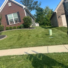 lawn care by Pristine lawn care reviewed on March 25, 2024