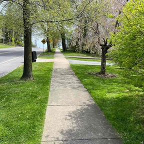 turf care by G&V’s Landscape reviewed on September 4, 2024