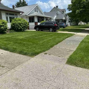 Long Grass Cleanup by Keep it cut keep it clean llc reviewed on August 15, 2025