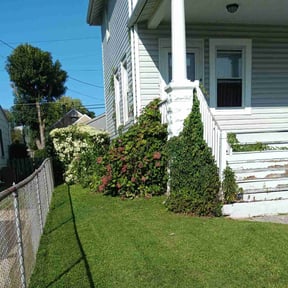 landscape maintenance by Transit LLC reviewed on August 16, 2025