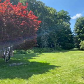 yard service by P3 Lawn Care reviewed on August 15, 2025