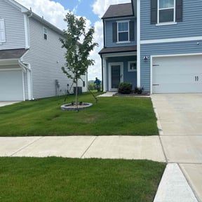 yard maintenance by AR landscaping reviewed on August 21, 2025