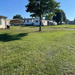 landscaping by Ultimate Landscape Contractor reviewed on May 14, 2024