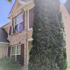 Bush Trimming by Mow Green Lawns reviewed on November 22, 2025