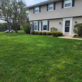 yard care by Self-Develope Services reviewed on August 20, 2025
