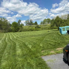 turf care by K C  lawn care reviewed on August 21, 2025