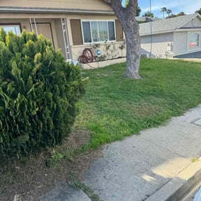 lawn maintenance by TS LAWN CARE LLC reviewed on March 28, 2024