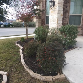 Bush Trimming by Miramontes Landscaping reviewed on August 18, 2025
