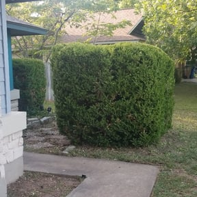 Bush Trimming by Get Her Done Lawn Service reviewed on August 21, 2025