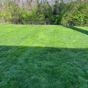 yard work by Top Dog Lawn Care reviewed on August 17, 2025