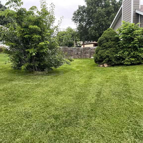 Lawn Mowing by Greenstate Landscaping LLC reviewed on August 16, 2025