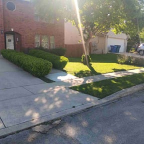 grass cutting by Dorsey&#039;s Property Maintenance reviewed on May 14, 2024