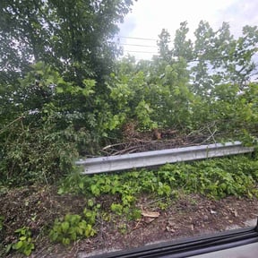 Leaf Removal by Konkle Landscape Services reviewed on September 6, 2025