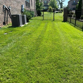 landscaping services by Green team reviewed on August 17, 2025