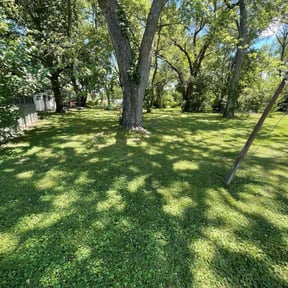 turf maintenance by Lion's Heart Lawn Care reviewed on May 19, 2024