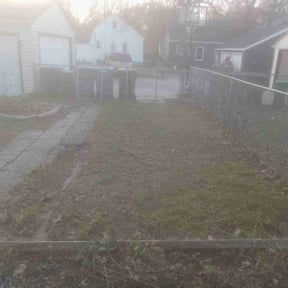 Leaf Removal by David&#039;s Pool &amp; Lawn Service reviewed on September 14, 2025