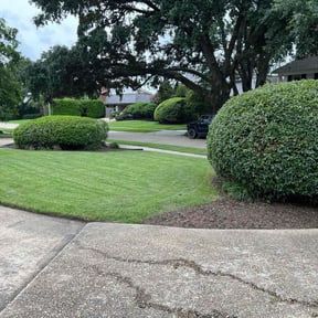 residential landscaping by Sidney lawns reviewed on August 15, 2025