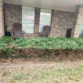 Bush Trimming by Clean Cut Lawn Service reviewed on October 21, 2025