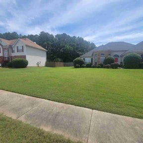 turf maintenance by Local Green Lawn Care LLC reviewed on August 17, 2025